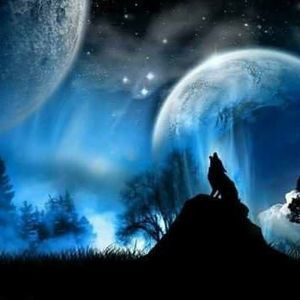 Meet your Posher, Carl